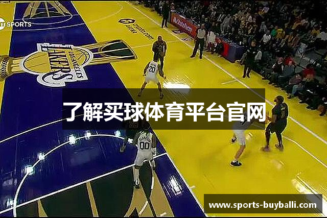 了解买球体育平台官网